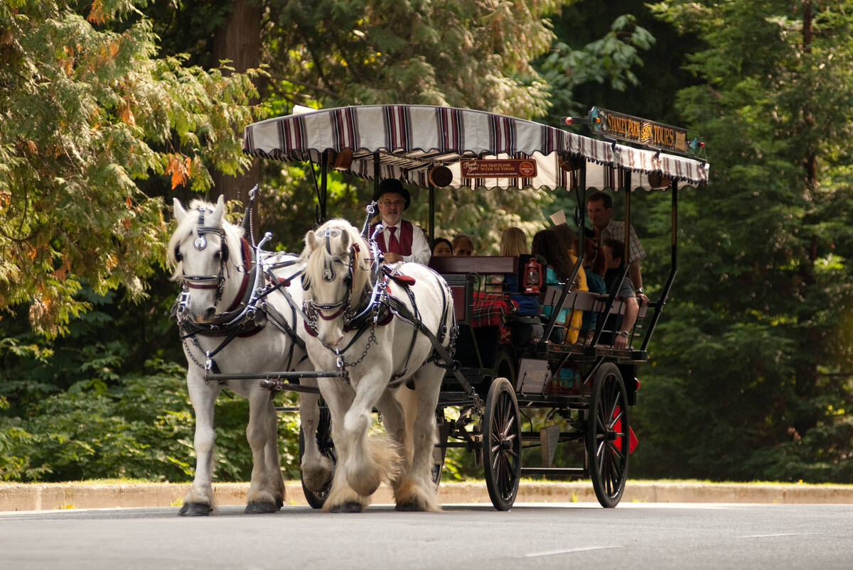 horse drawn tour in stanley park, a perfect Mother’s Day Gifts Vancouver