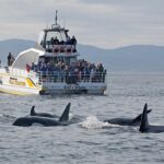 Mothers-Day-Gifts-Vancouver-eagle-wing-tours