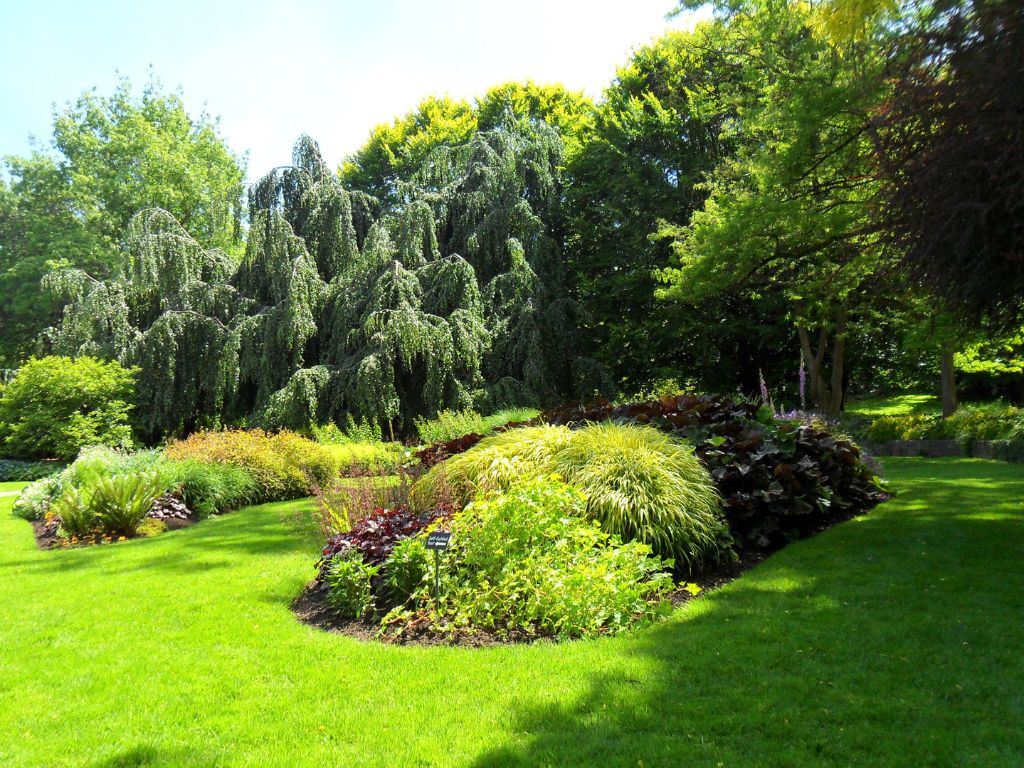 one of the areas within VanDusen Gardens in vancouver