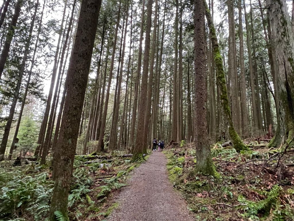 family walking on thornhill trail, Family Friendly Hikes Fraser Valley