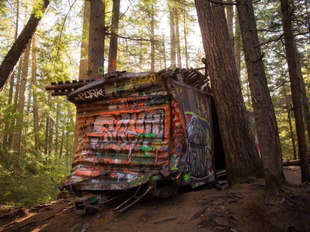 graffiti covered rail car in the middle of the forest on the whistler train wreck hike trail