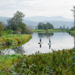 maple-ridge-dyke-Family-Friendly-Hikes-Fraser-Valley