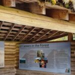 Malcolm-Knapp-Research-Forest-8