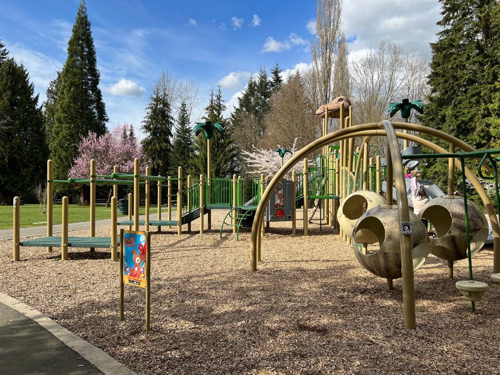 dinosaur themed park and playground in langley, one of the best playgrounds in lower mainland