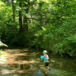 best-playgrounds-in-lower-mainland-williams-park-2