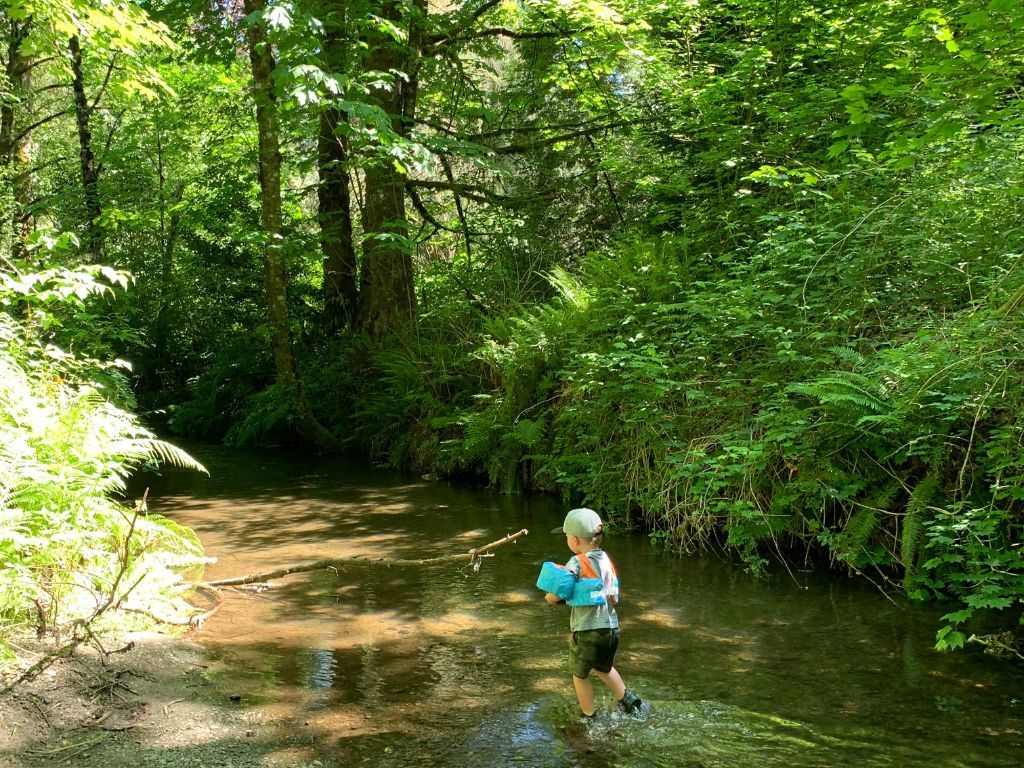 child playing in one of the many creeks inside williams park in langley