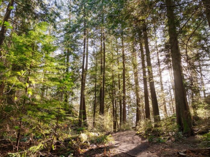 Lighthouse Park | Family Travel Blog | Adventure Awaits