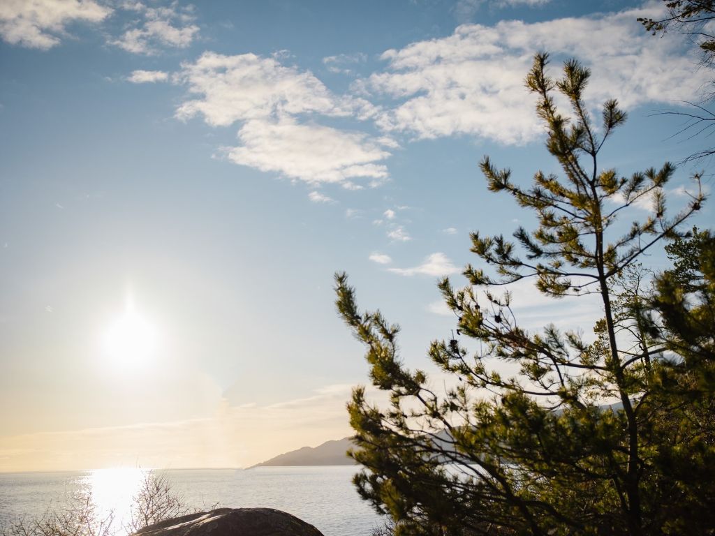 looking at the sun while hiking back up the trail at lighthouse park west vancouver