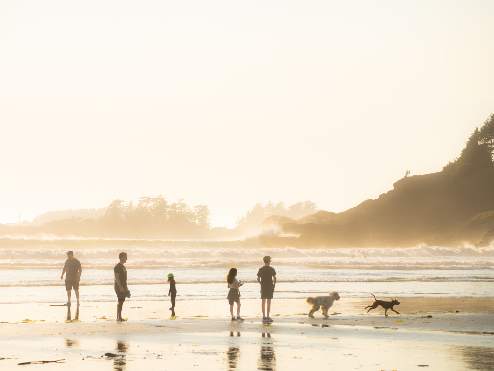 family and their dogs wandering the beach as the sun sets, that is in front of the long beach lodge resort in tofino