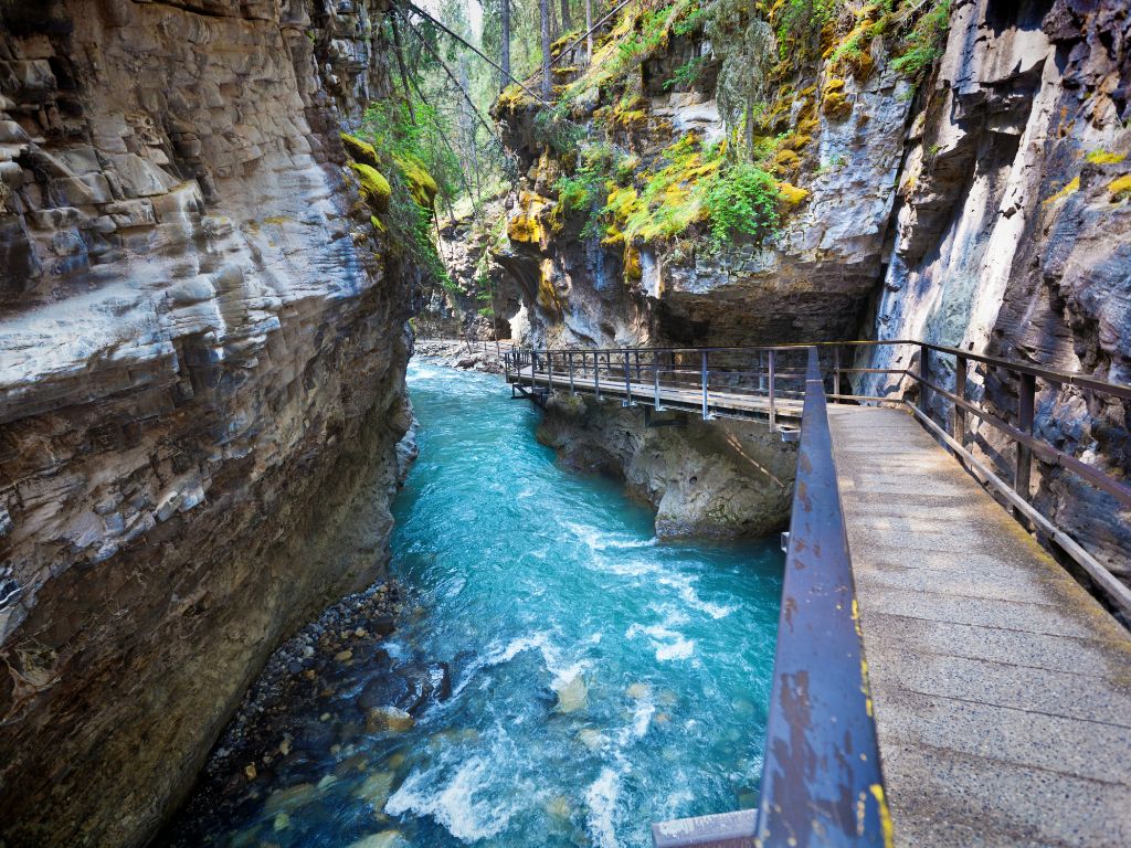 an elevated walkway in johnston canyon