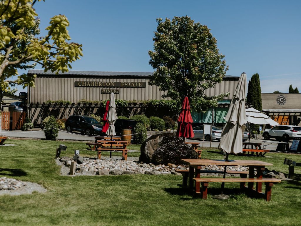 lots of picnic tables and umbrellas sitting outside on a grassy area at chaberton estate winery, one of the best patios langley