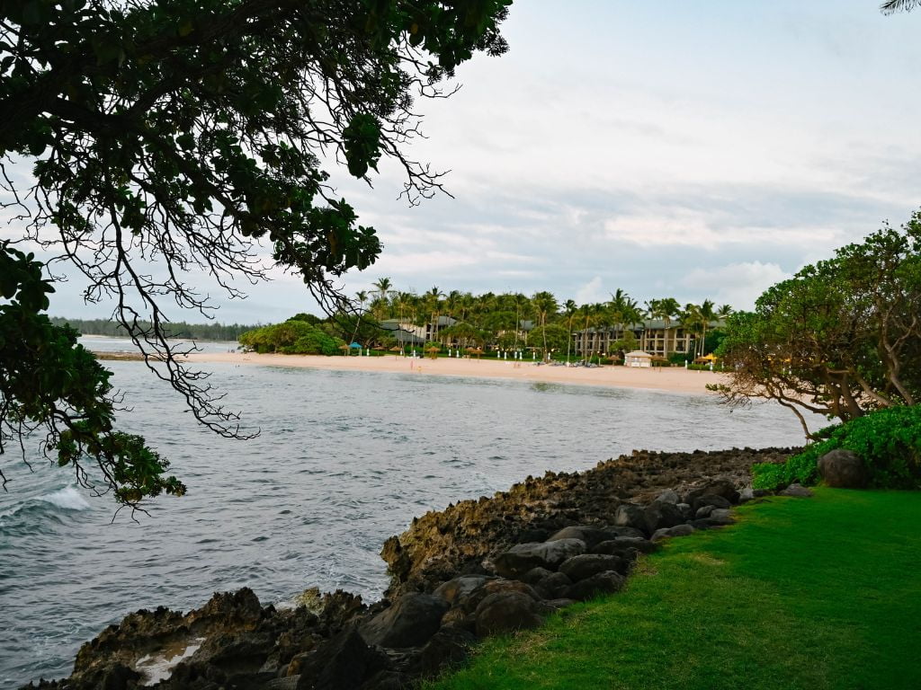 looking through the trees at the beach at turtle bay blog resort