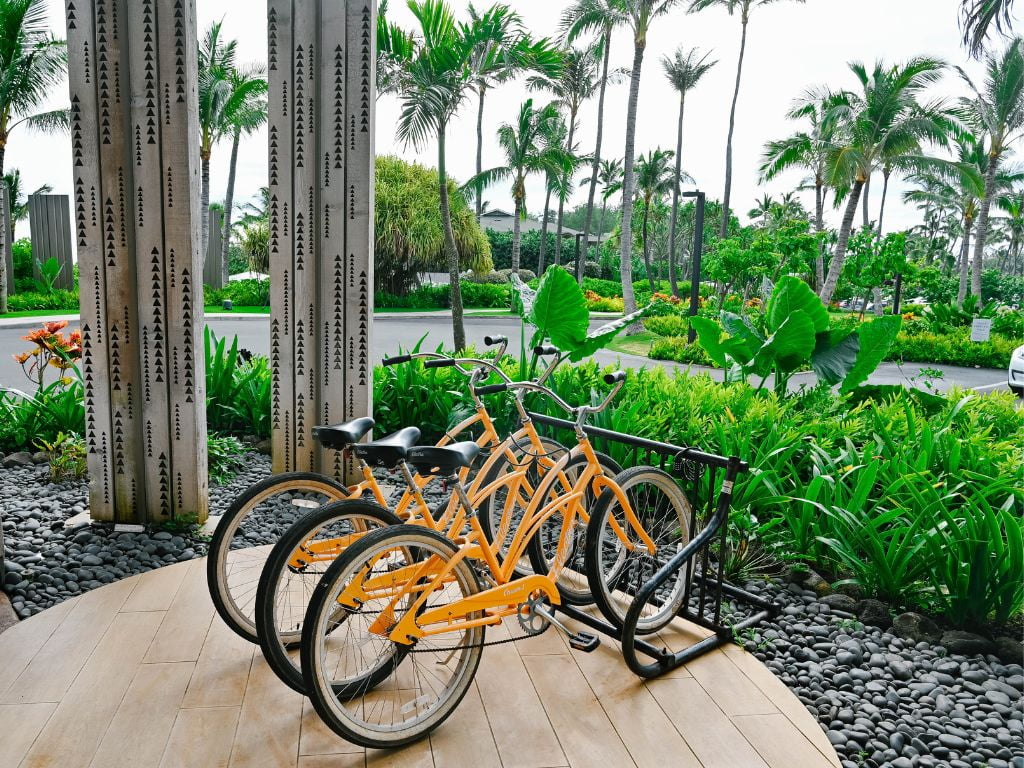 rack of yellow bicycles parked at the entrance of turtle bay resort