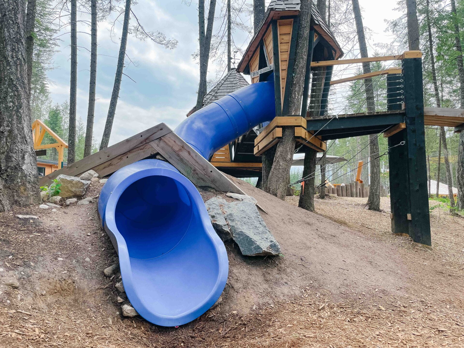 treehouse with a curving blue slide coming out the side