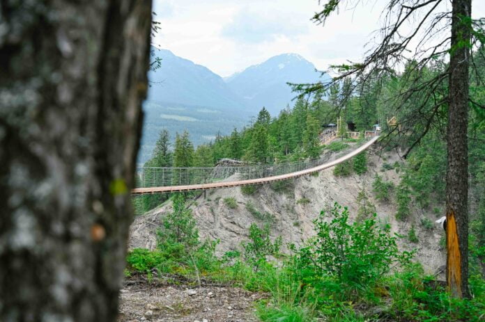 Ultimate Guide To Planning The Best Visit To Golden Suspension Bridge ...