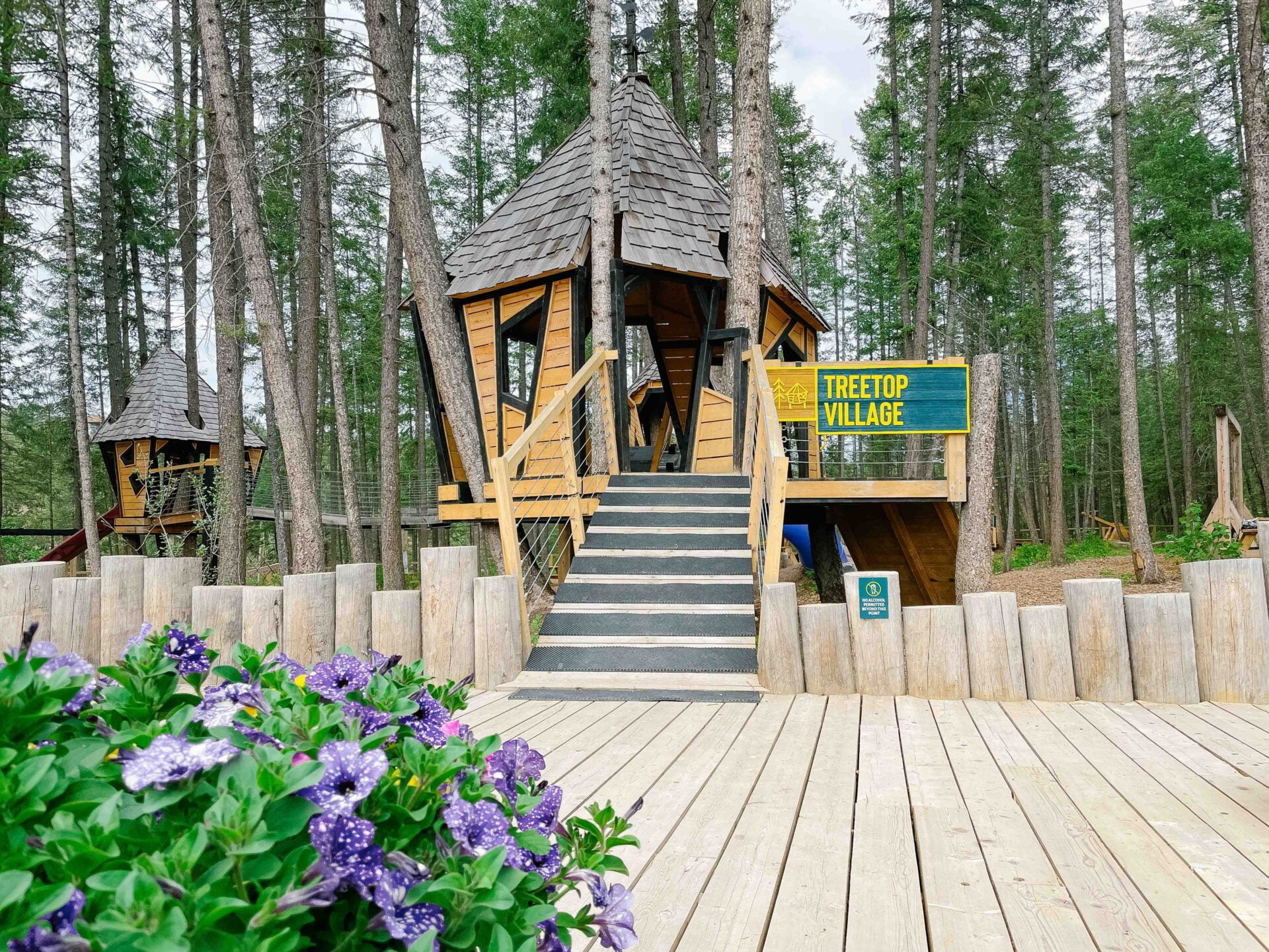 entrance of the treetop village playground at the golden suspension bridge