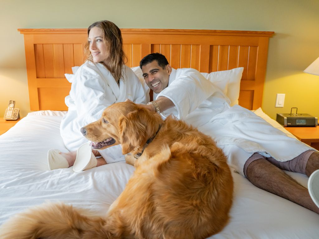 man and a woman sit in their white robes on a bed with the golden retriever dog at the tofino family resort
