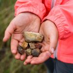 Gifts-for-Kids-Who-Love-Nature-4
