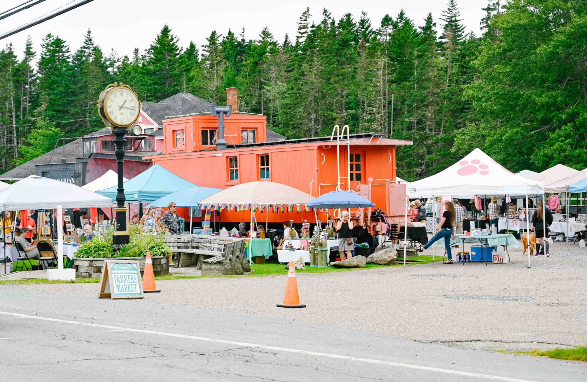 a variety of vendors at tables under tents at the musquodobiot farmers market
