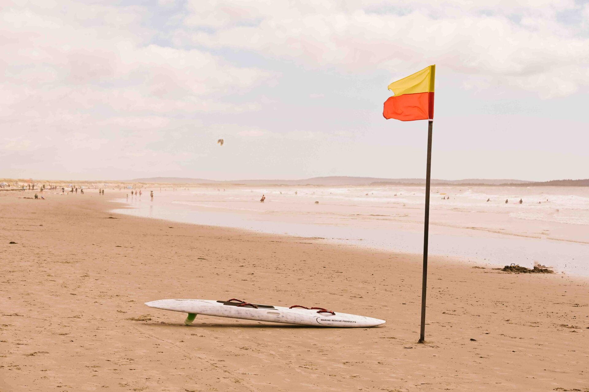 surfboard and flag sitting on a sandy beach in nova scotia