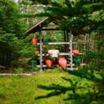 eastern-shore-road-trip-5