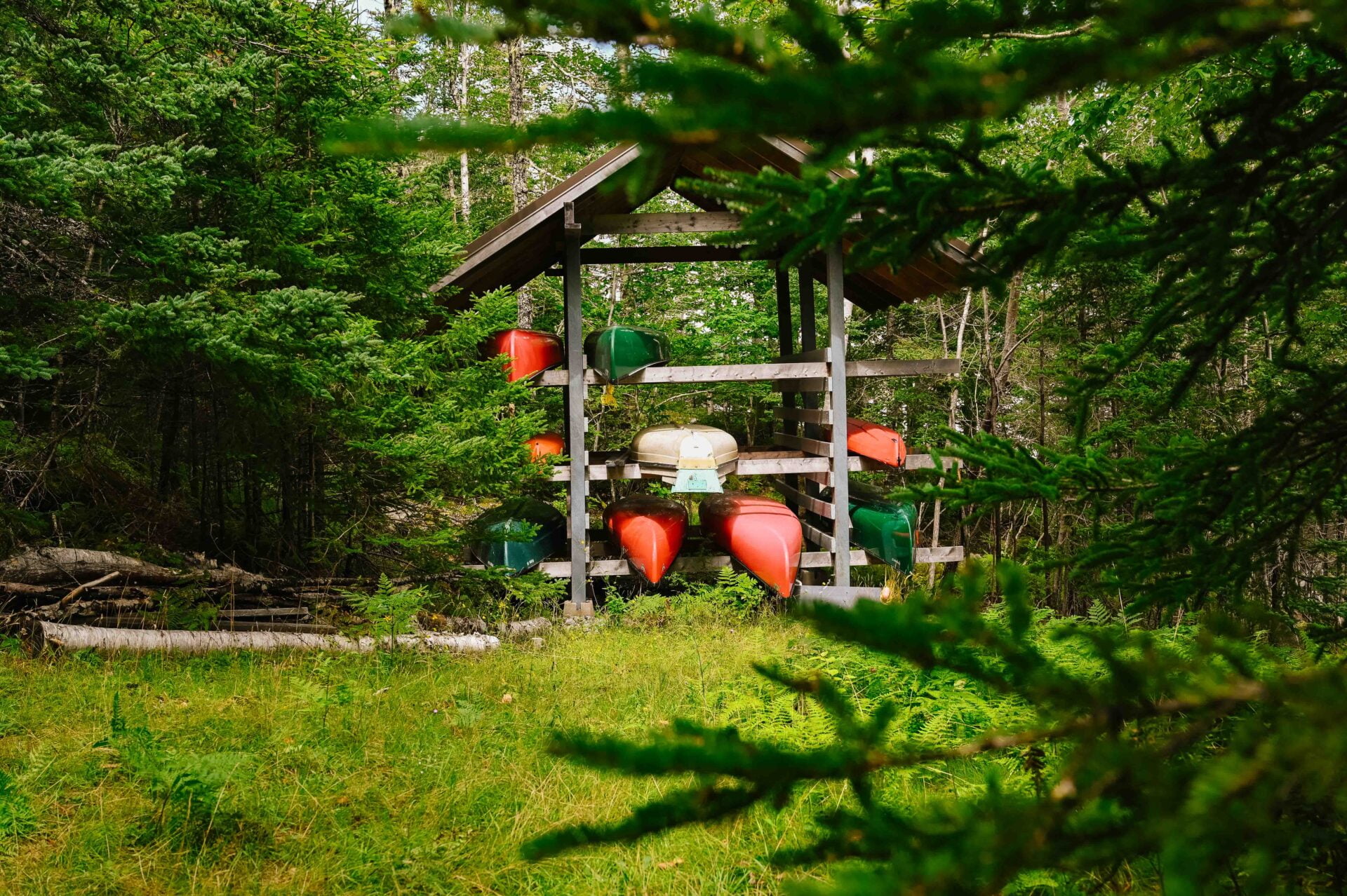a variety of canoes being stored in a shed