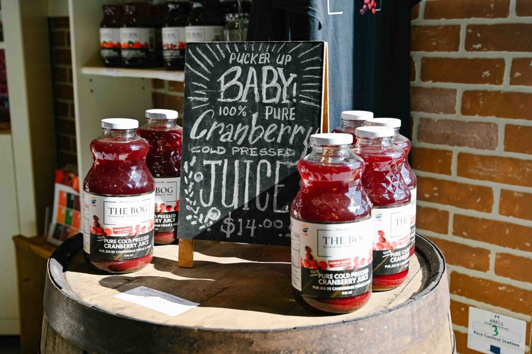 Cranberry Plunge Langley How To Plan The Best Cranberry Farm