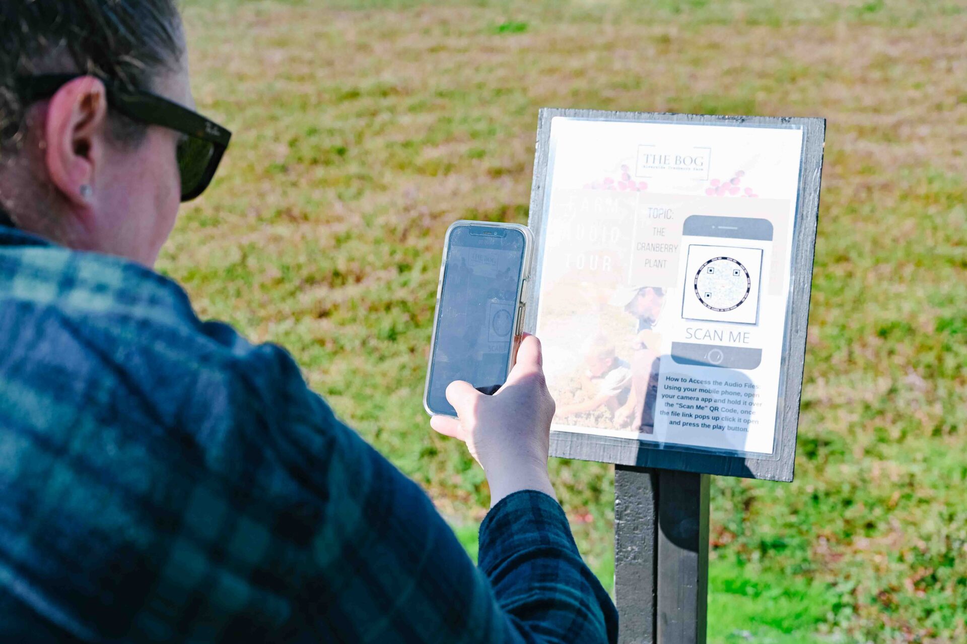a person scanning the QR code on a sign to do the audio tour at Cranberry Plunge Langley