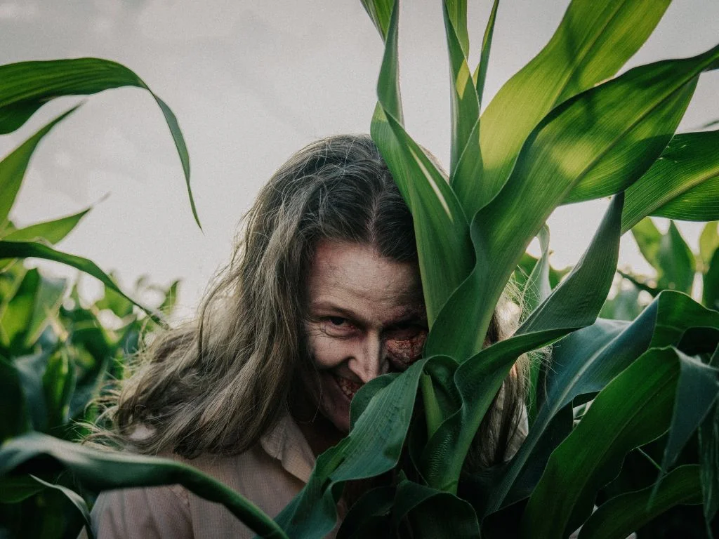 a person dressed as a zombie peers between the stalks of corn of a maze, a fun fall activities vancouver