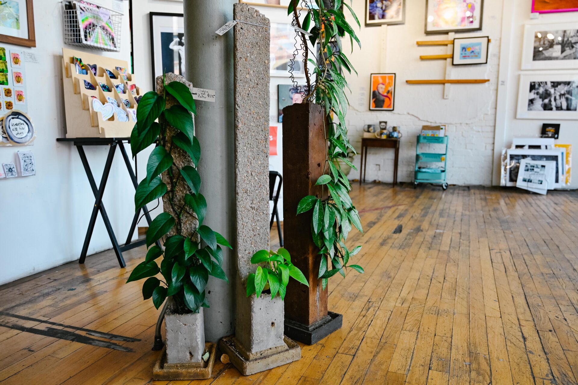 3 cement plant pots with plants sitting on the floor, variety of art is up on the walls behind them