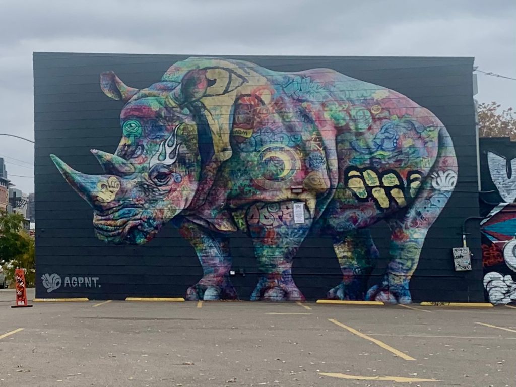 large mural of a Rhino, done by AGPNT. Found in the RiNo art district of Denver, as seen on the denver graffiti tour