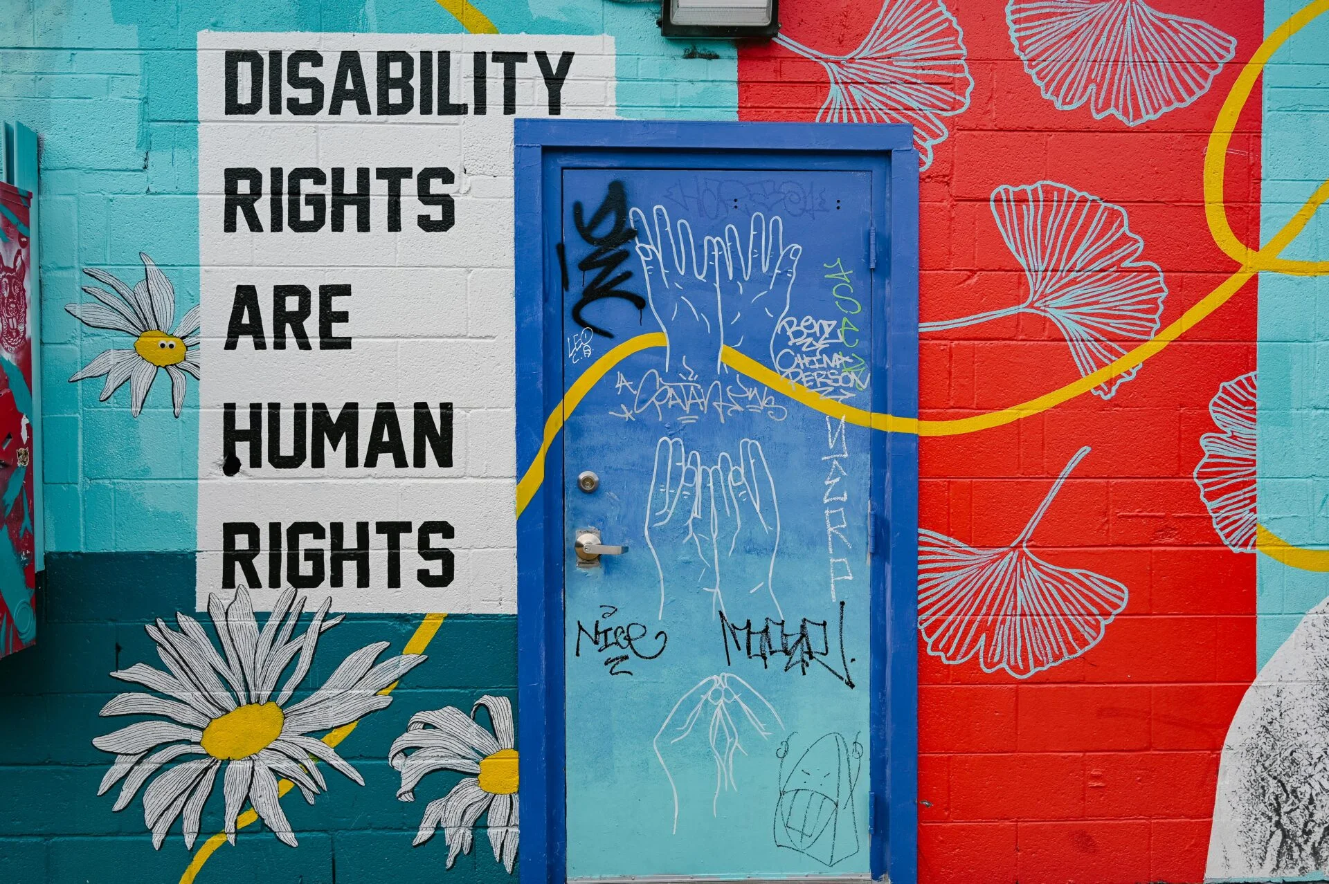 bright colour mural depicting flowers and the saying Disability Rights are Human Rights