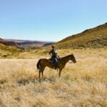 horseback-riding-loveland-12-of-32