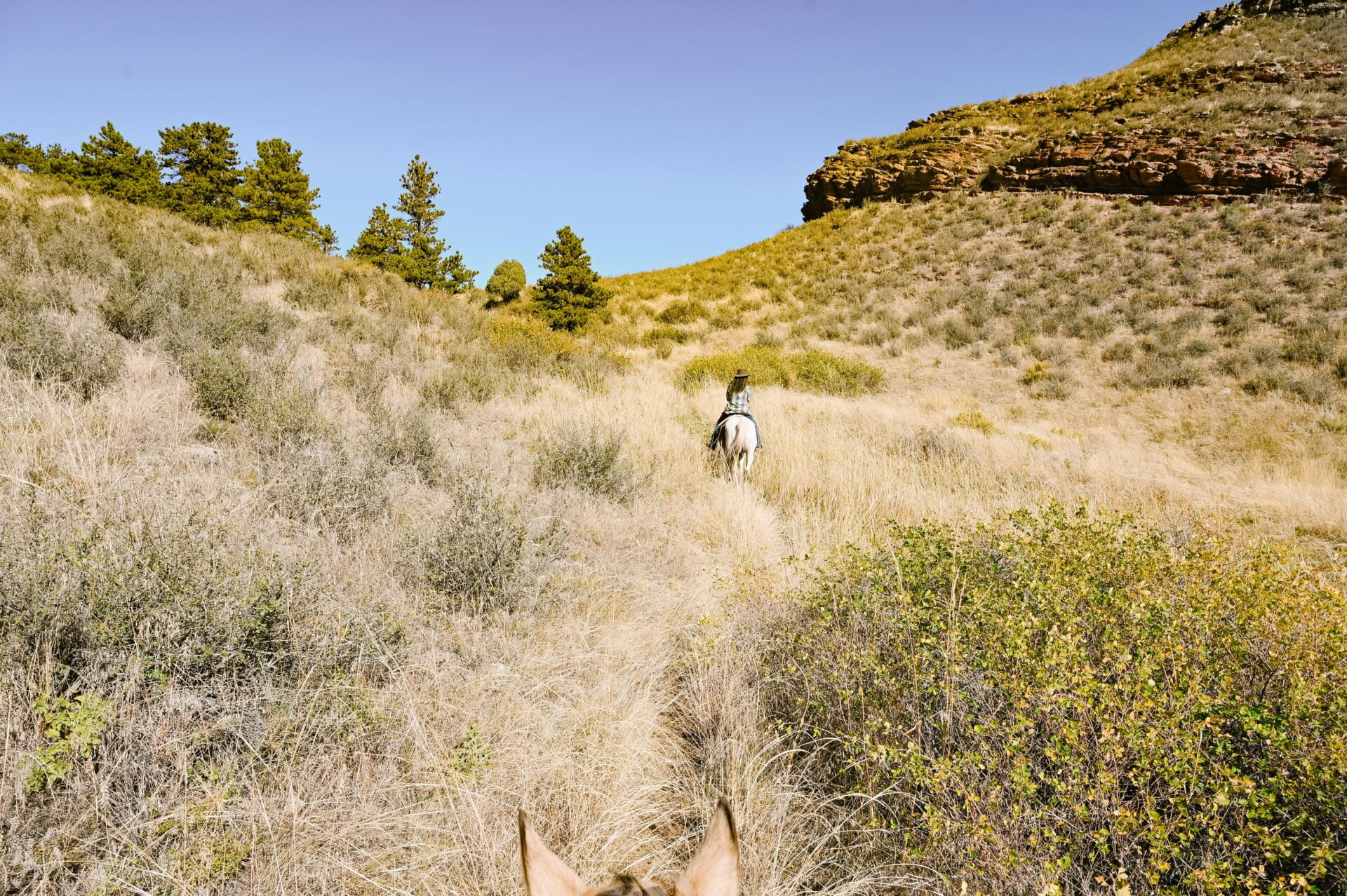 The Best Horseback Riding In Loveland - 3200 Acres Of Adventures At ...