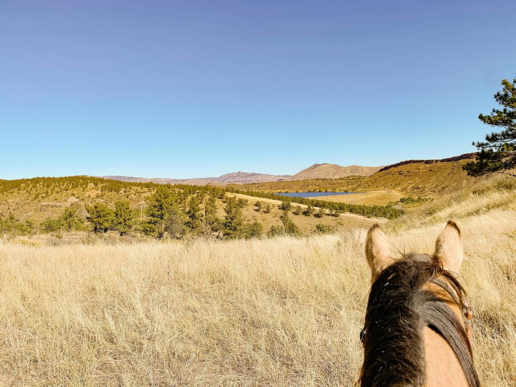 photo taken between a horses ear on a horseback riding loveland adventure, a lake and mountains stand in the background