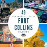 fun things to do in Fort Collins PINS