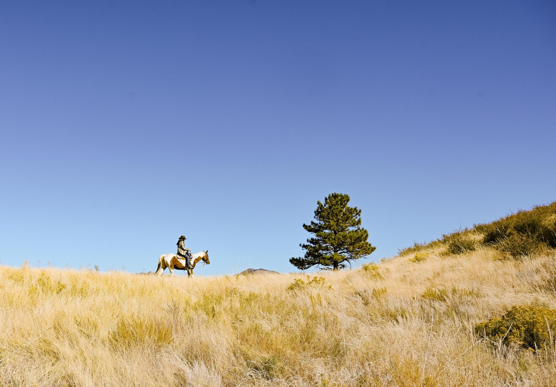 a woman sits on horseback off in the distance on the top of a grass covered hill