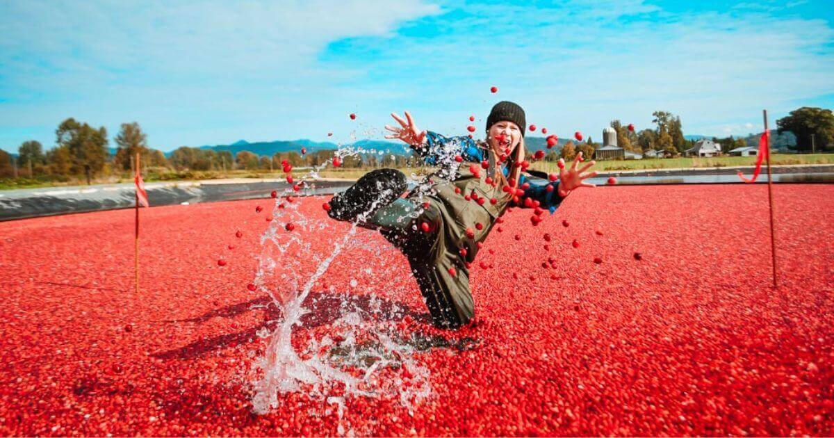 Cranberry-Farm-Langley