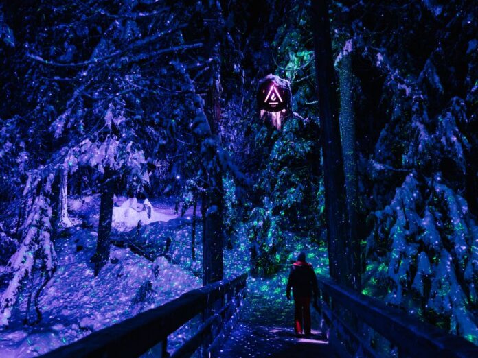 Vallea Lumina Review Your 2024 Adventure Guide To Whistler's Night