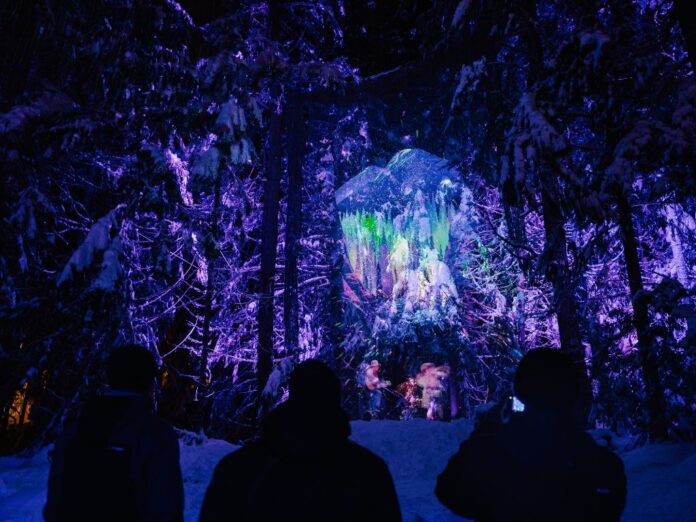 Vallea Lumina Review Your 2024 Adventure Guide To Whistler's Night