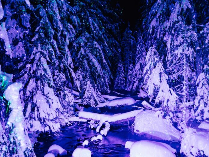 Vallea Lumina Review Your 2024 Adventure Guide To Whistler's Night