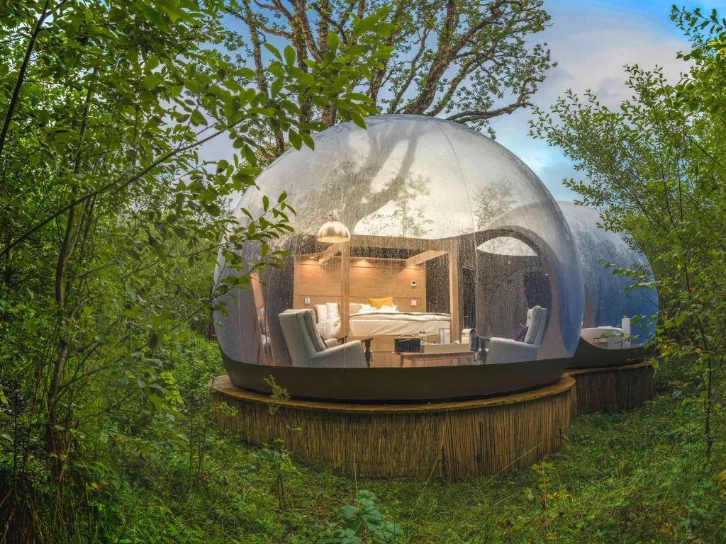 view from outside a Finn Lough bubble dome sitting in the forest