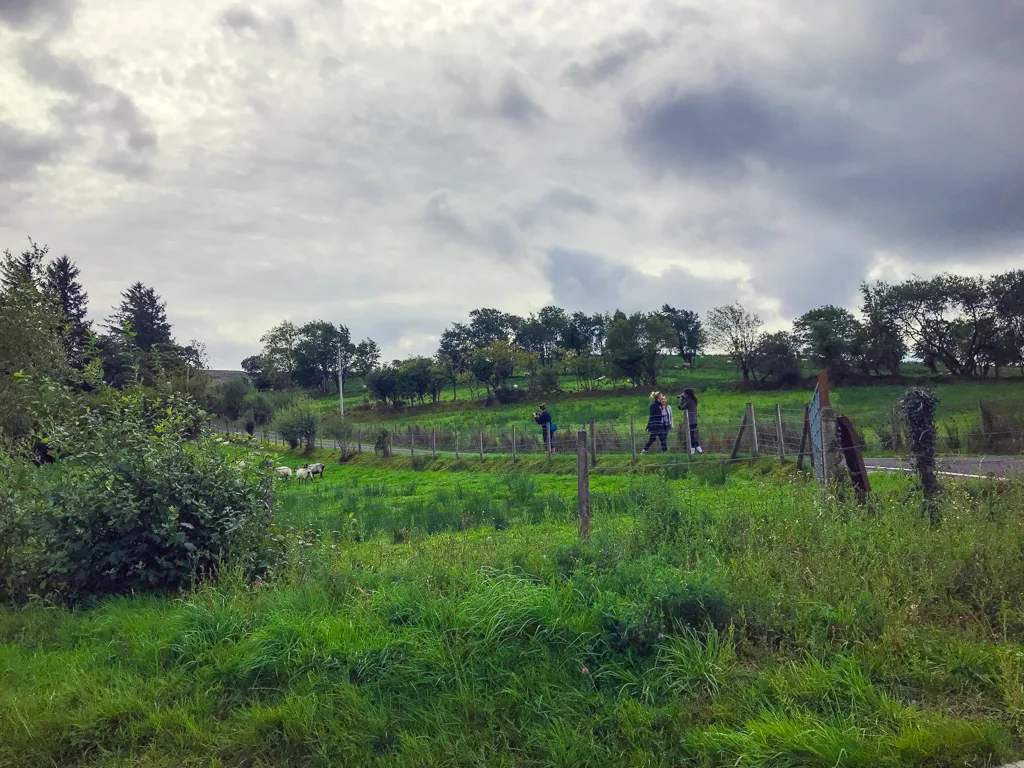 people walking past fields of sheep at finn lough resort in ireland