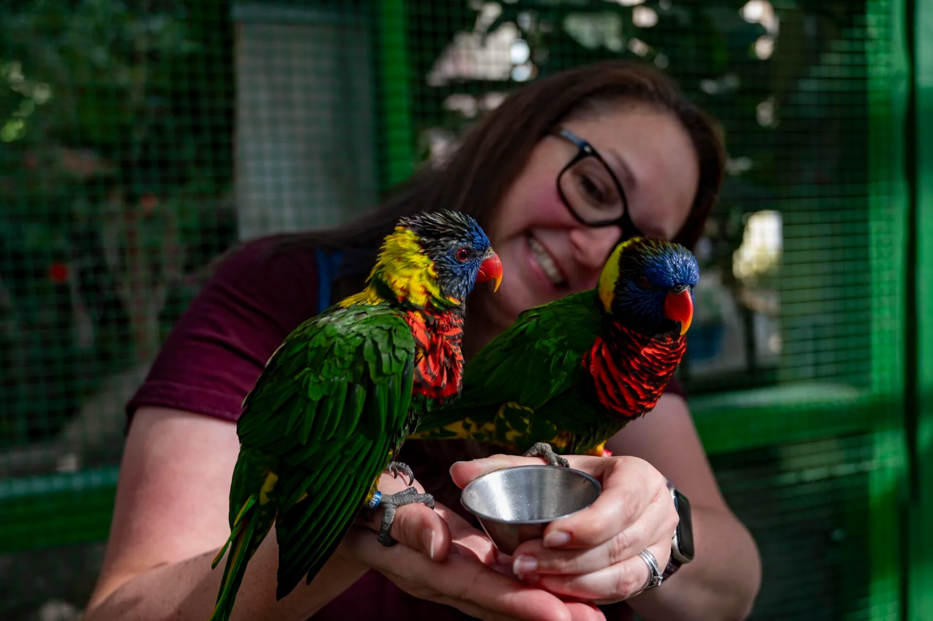 a woman holds two lorikeets as she feeds from in her hand at bird kingdom in niagara falls in october