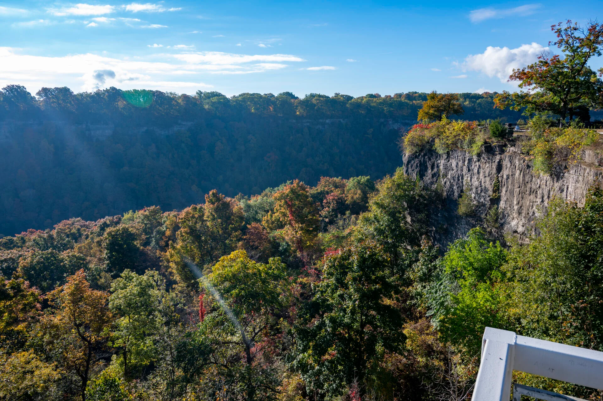 standing at the top of the metal stairs that take you down into the Niagara Glen gorge hiking area