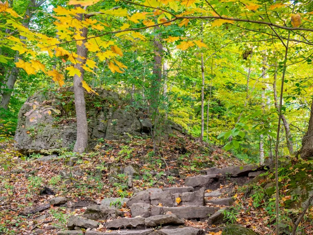 rocky steps are part of a trail in the niagara glen, the forest is filled with yellow fall foliage