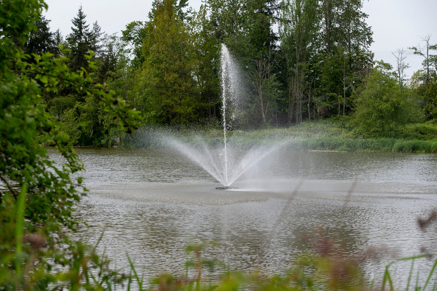 a large fountain sits in the middle of brydon lagoon, one of the things to do in langley BC