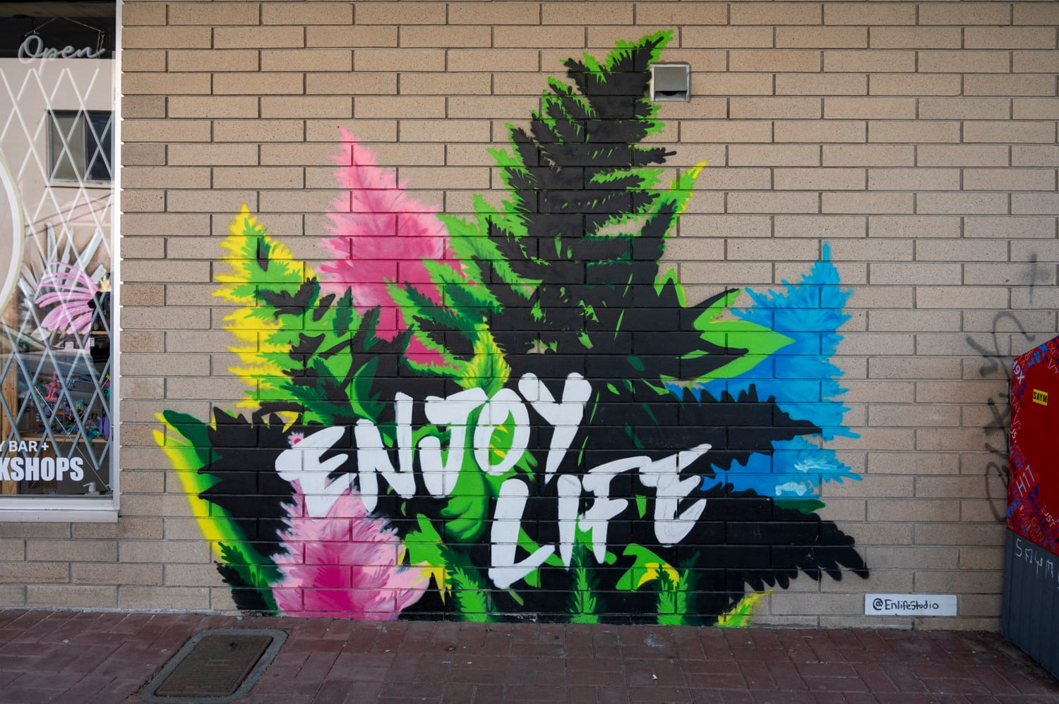 a mural that says enjoy life and is green plants and bright coloured flowers