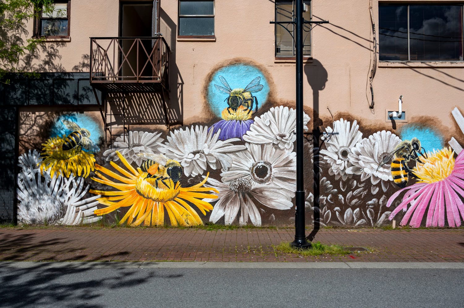 save the bees mural in downtown langley city depicts large colourful flowers and bees