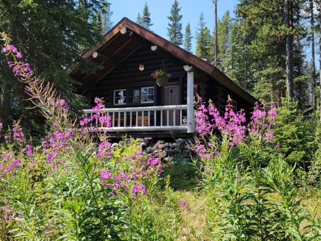 outside view of a cabin at storm mountain lodge, wildflowers are in the front of the photo